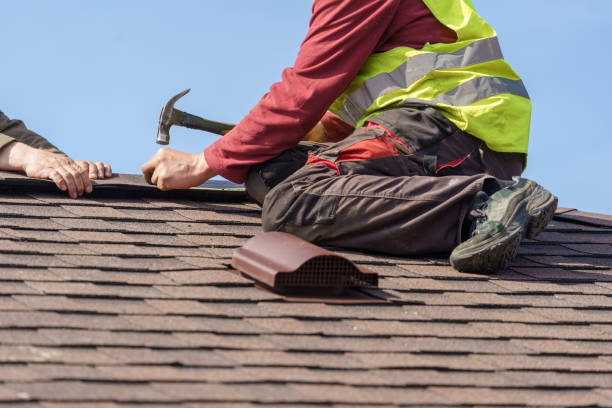 Best Roof Gutter Cleaning  in Vinco, PA