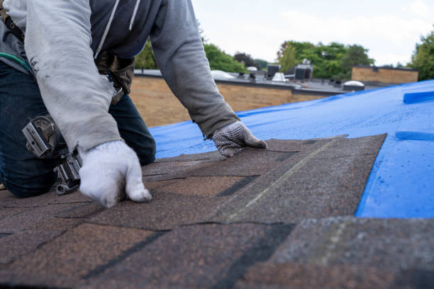Best Roof Waterproofing Services  in Vinco, PA