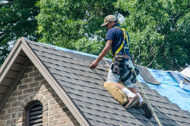 Best Storm Damage Roof Repair  in Vinco, PA